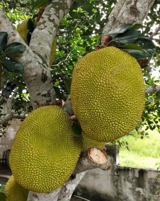 1746000405255026.png 微信(xìn)截(jié)圖_20250430142442.png