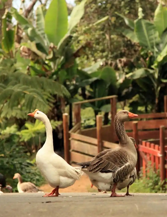 1746520790712805.png 微信截(jié)圖_20250506154402.png