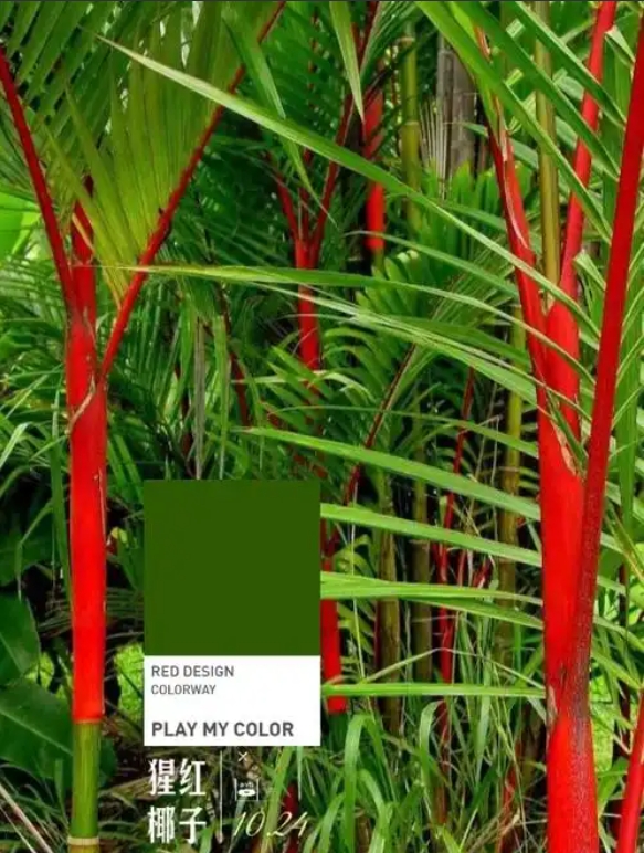 1746521683445715.png 微信截圖_20250506161314.png