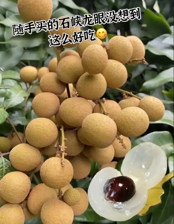 1746780011745439.png 微信截圖(tú)_20250509151327.png