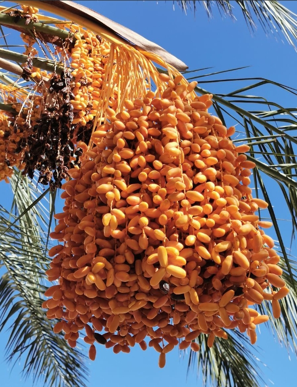 1747383798957418.png 微信(xìn)截圖_20250516142811.png