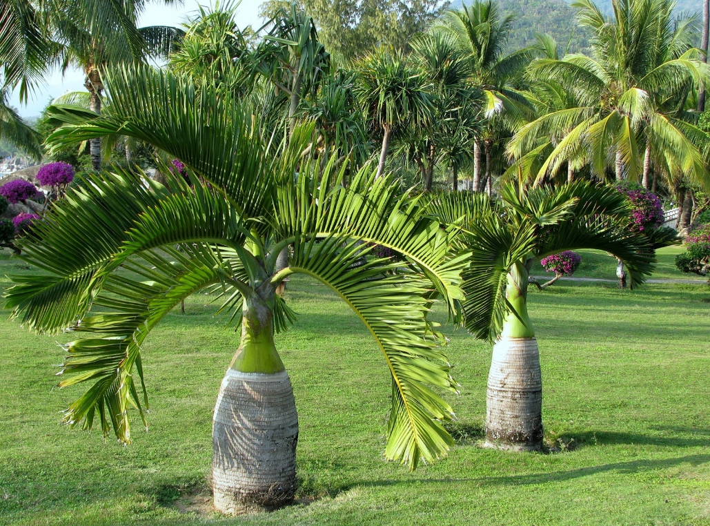 1747642066537912.png 微信截圖_20250519143944.png