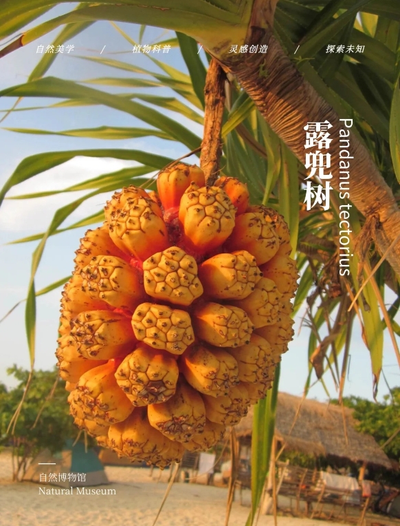 1748243399379729.png 微信截圖_20250526143717.png