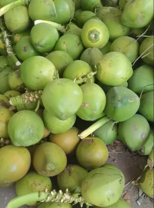 1749025047996884.png 微信(xìn)截圖_20250604142918.png