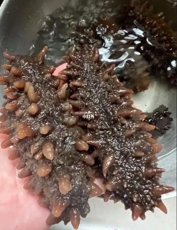 1749198160501580.png 微信截圖_20250606115101.png