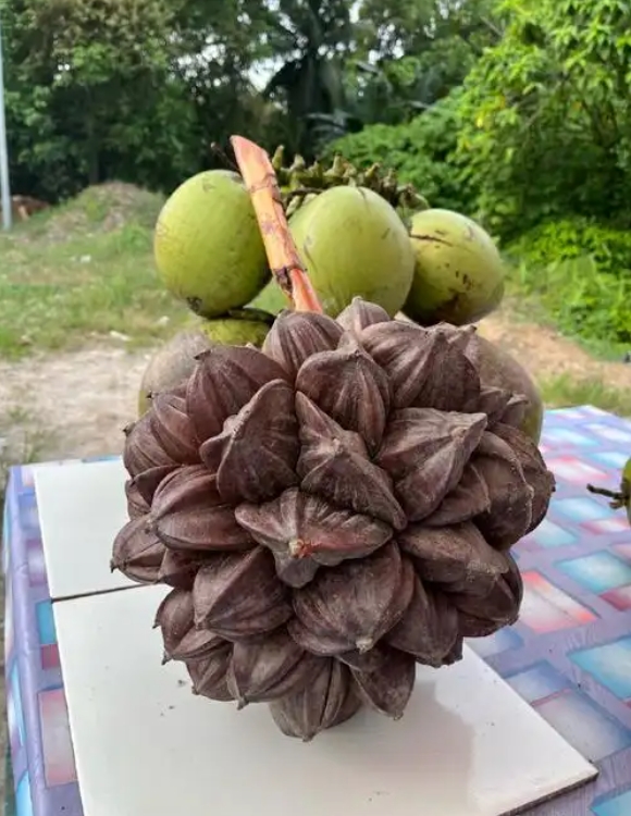 1749285421135388.png 微信截圖_20250607150705.png