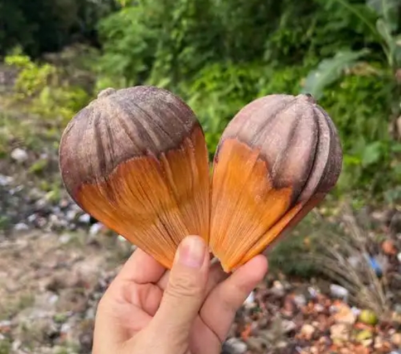 1749285433725582.png 微信截圖(tú)_20250607150813.png