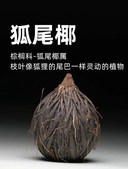 1749544485720017.png 微信截圖_20250610152054.png