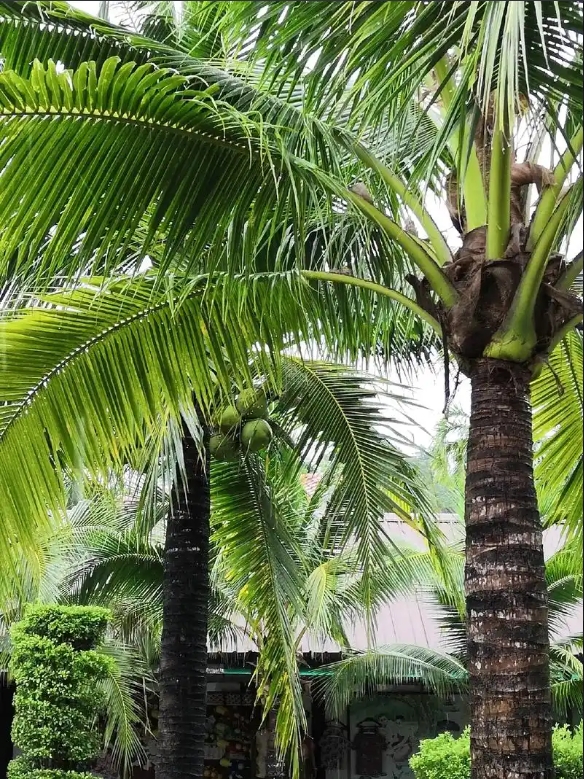 1749711301747798.png 微信(xìn)截圖_20250612112002.png