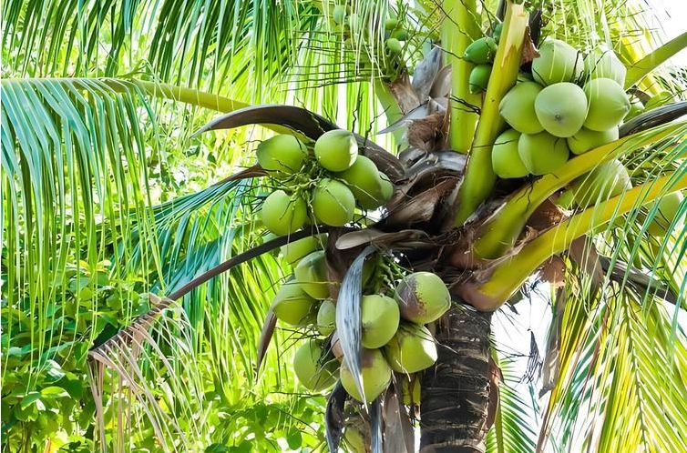 1749711319526116.png 微信截圖_20250612111719.png