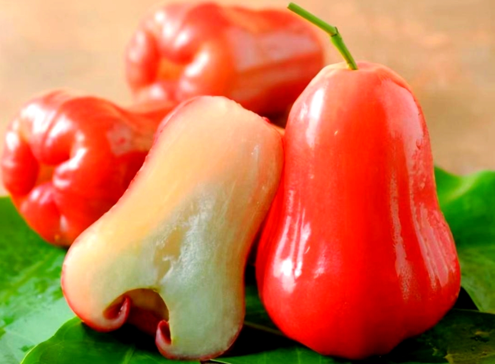 1750410203488036.png 微信截圖_20250620163959.png