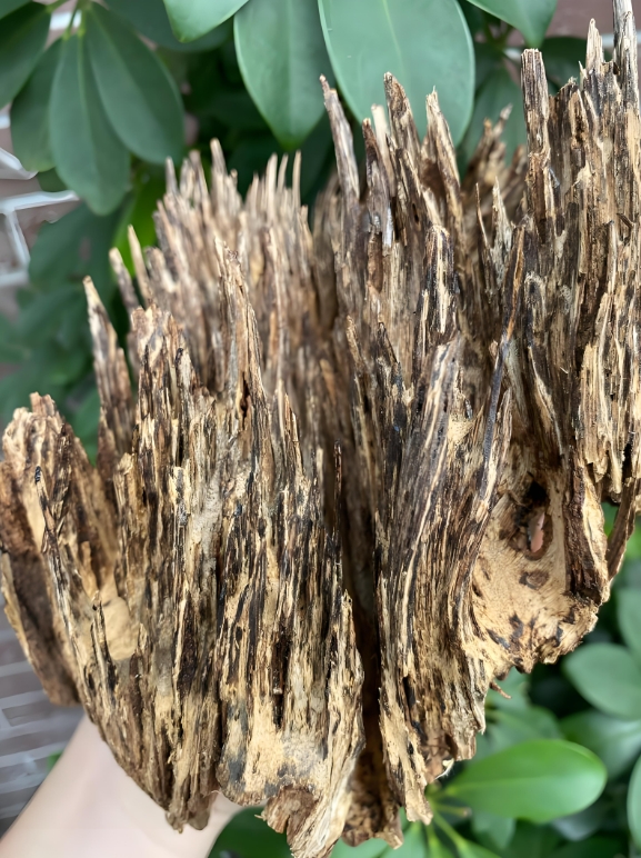 1751445389696635.png 微信截圖_20250702151333.png