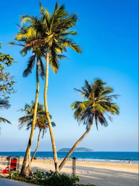 1751619156547906.png 微信截(jié)圖(tú)_20250704151022.png