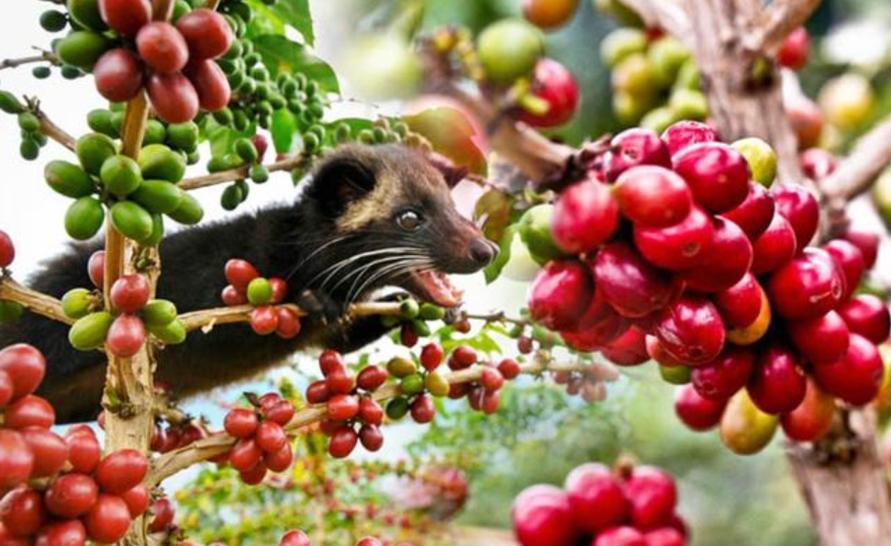 1751877204433485.png 微信截圖_20250707153146.png