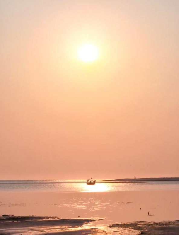 1752483646933600.png 微信截圖(tú)_20250714144844.png