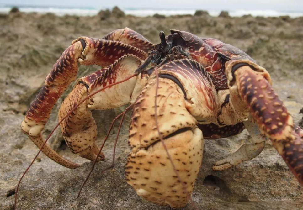 1753259721372489.png wechat_2025-07-23_155029_918.png