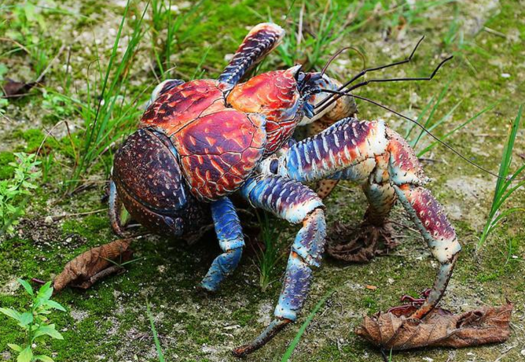 1753259740434168.png wechat_2025-07-23_155840_590.png