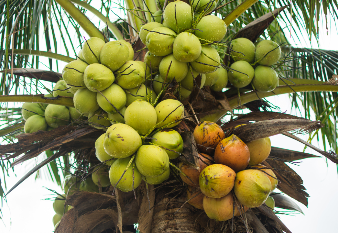 1754038494382766.png wechat_2025-07-30_155648_202.png