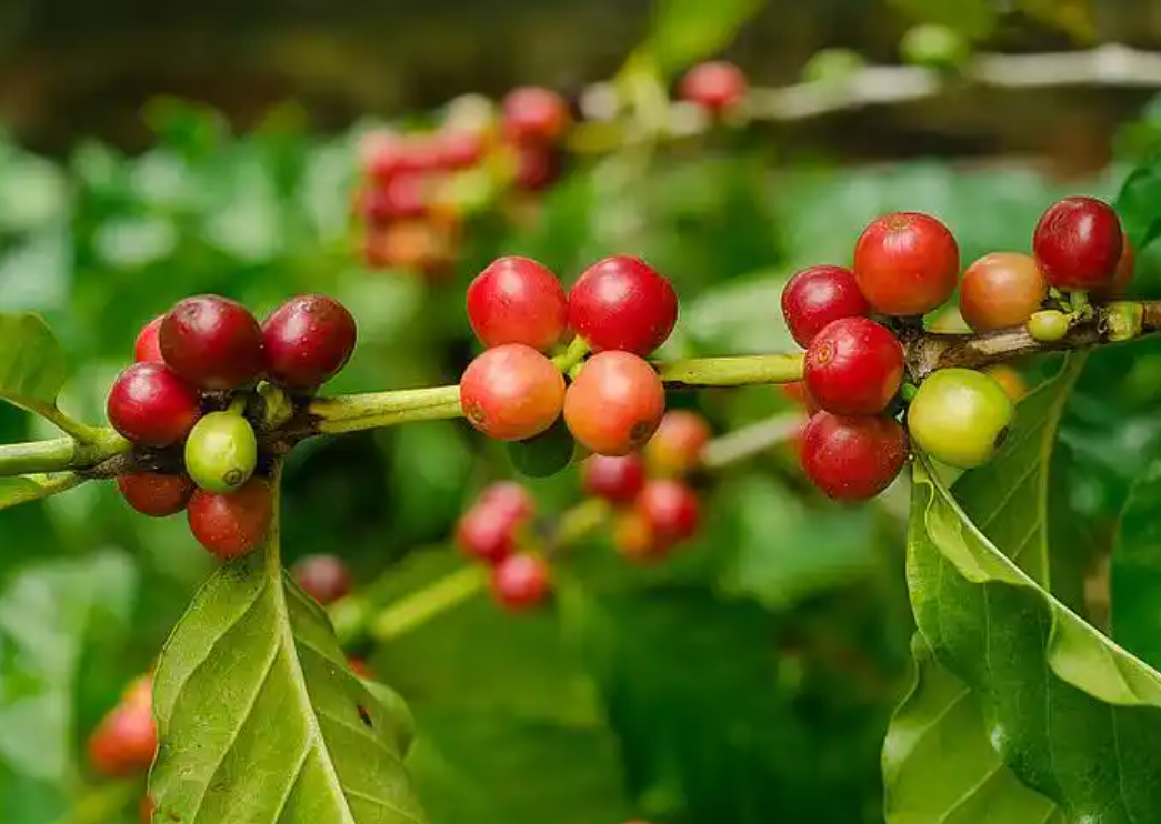 1756452557417842.png wechat_2025-08-28_141351_766.png