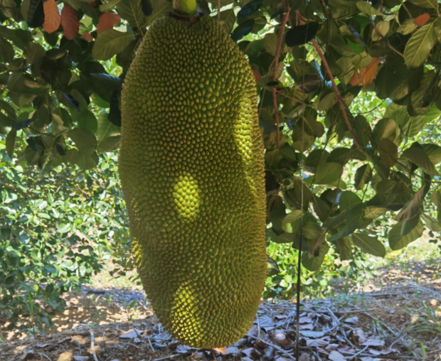 1761898800366024.png wechat_2025-10-31_154431_062.png